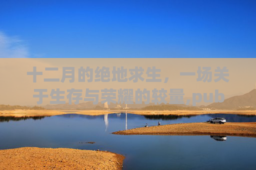 十二月的绝地求生,一场关于生存与荣耀的较量,pubg十二月在哪里直播 十二月的绝地求生,一场关于生存与荣耀的较量,pubg十二月在哪里直播