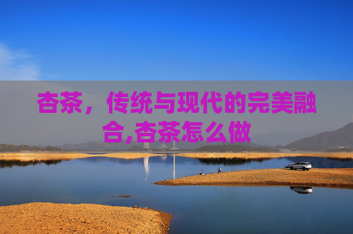 杏茶，传统与现代的完美融合,杏茶怎么做