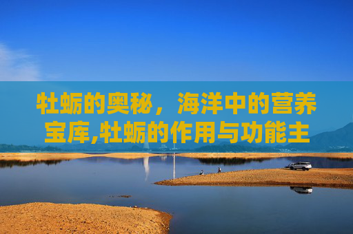 牡蛎的奥秘，海洋中的营养宝库,牡蛎的作用与功能主治