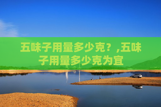 五味子用量多少克？,五味子用量多少克为宜