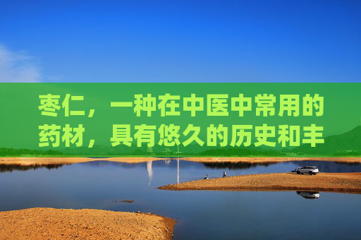 枣仁，一种在中医中常用的药材，具有悠久的历史和丰富的药用价值。它不仅是一种美味的干果，更是一种具有多种功效与作用的珍贵草药。本文将详细介绍枣仁的功效与作用，帮助读者更好地了解这一传统中药材的价值。,枣仁的功效与作用主要治什么病症