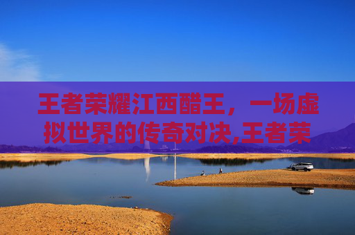 王者荣耀江西醋王，一场虚拟世界的传奇对决,王者荣耀江西籍选手