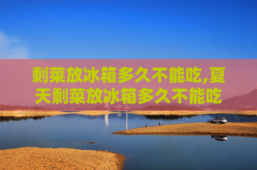 剩菜放冰箱多久不能吃,夏天剩菜放冰箱多久不能吃