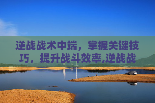 逆战战术中端，掌握关键技巧，提升战斗效率,逆战战术攻略大全