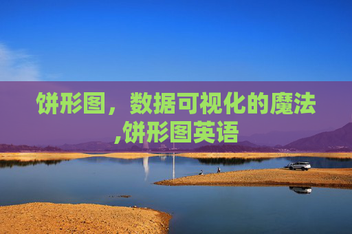 饼形图，数据可视化的魔法,饼形图英语
