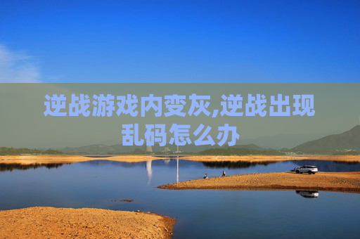 逆战游戏内变灰,逆战出现乱码怎么办