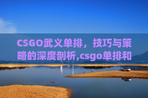 CSGO武义单排，技巧与策略的深度剖析,csgo单排和组排有区别吗