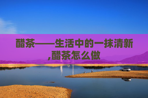 醋茶——生活中的一抹清新,醋茶怎么做