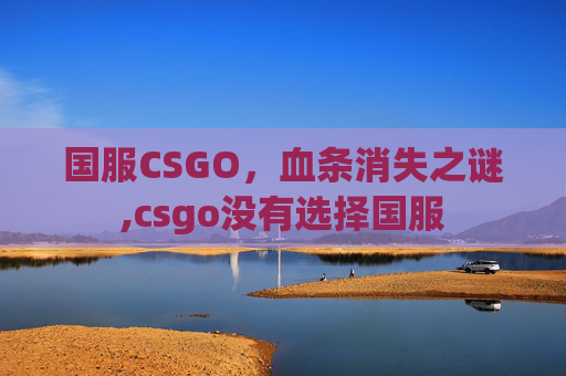 国服CSGO，血条消失之谜,csgo没有选择国服