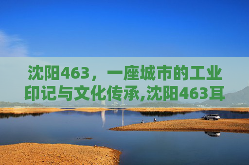 沈阳463，一座城市的工业印记与文化传承,沈阳463耳鼻喉科医院怎么样