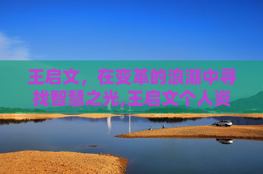 王启文，在变革的浪潮中寻找智慧之光,王启文个人资料简介简历