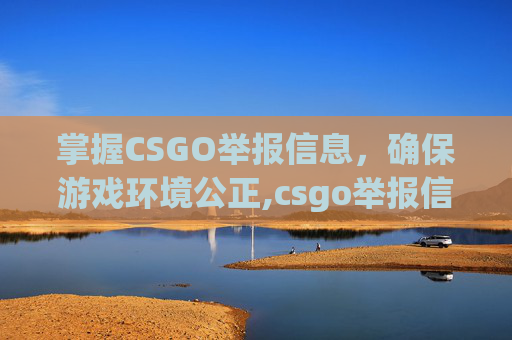 掌握CSGO举报信息，确保游戏环境公正,csgo举报信息怎么看的