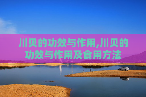 川贝的功效与作用,川贝的功效与作用及食用方法