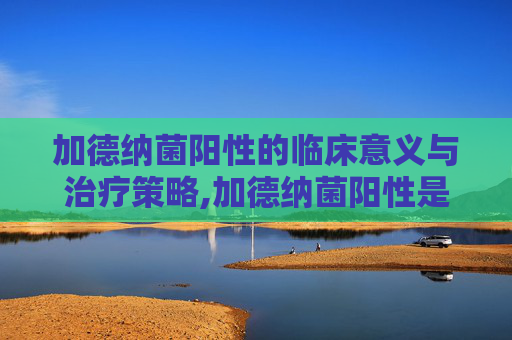 加德纳菌阳性的临床意义与治疗策略,加德纳菌阳性是什么意思