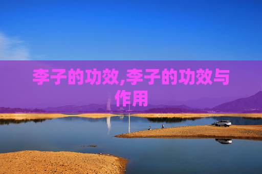 李子的功效,李子的功效与作用