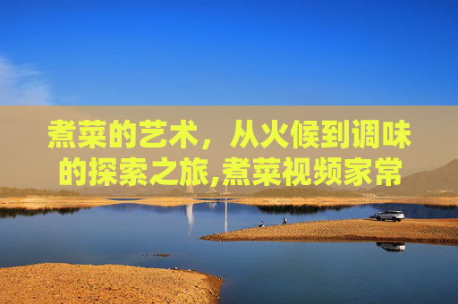 煮菜的艺术，从火候到调味的探索之旅,煮菜视频家常菜