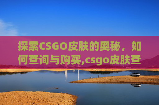 探索CSGO皮肤的奥秘，如何查询与购买,csgo皮肤查询网站