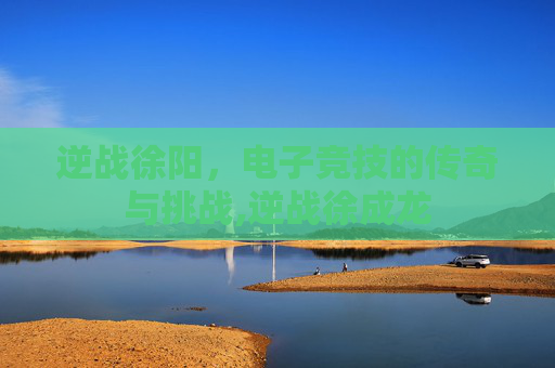 逆战徐阳，电子竞技的传奇与挑战,逆战徐成龙