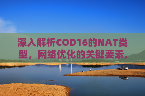 深入解析COD16的NAT类型，网络优化的关键要素,cod16叫什么