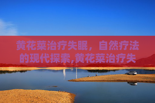 黄花菜治疗失眠，自然疗法的现代探索,黄花菜治疗失眠吗
