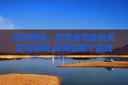 盐的奥秘，探索食用盐的历史与影响,食用盐哪个品牌好