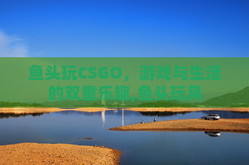 鱼头玩CSGO，游戏与生活的双重乐趣,鱼头玩具