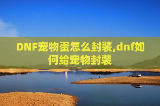 DNF宠物蛋怎么封装,dnf如何给宠物封装