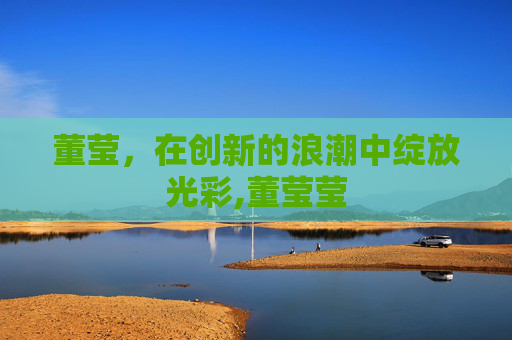 董莹，在创新的浪潮中绽放光彩,董莹莹