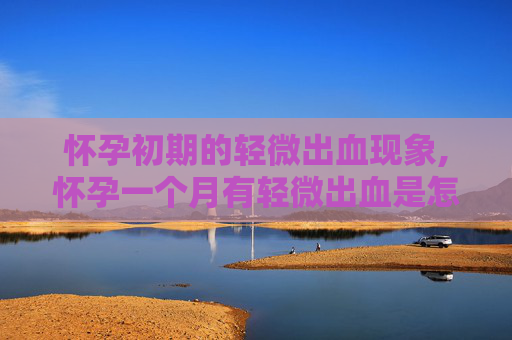 怀孕初期的轻微出血现象,怀孕一个月有轻微出血是怎么回事