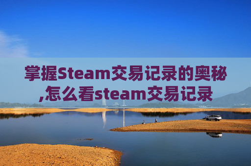 掌握Steam交易记录的奥秘,怎么看steam交易记录