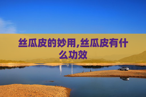 丝瓜皮的妙用,丝瓜皮有什么功效