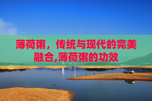 薄荷粥，传统与现代的完美融合,薄荷粥的功效