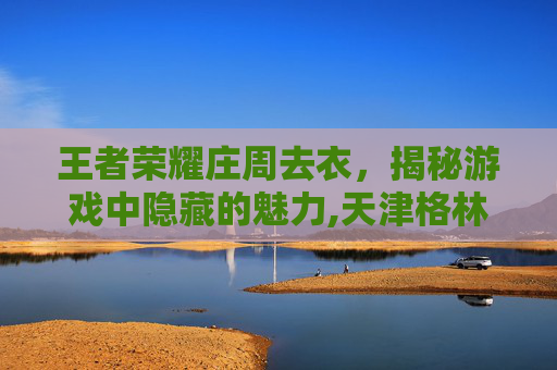 王者荣耀庄周去衣，揭秘游戏中隐藏的魅力,天津格林国际幼儿园学费