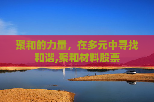 聚和的力量，在多元中寻找和谐,聚和材料股票