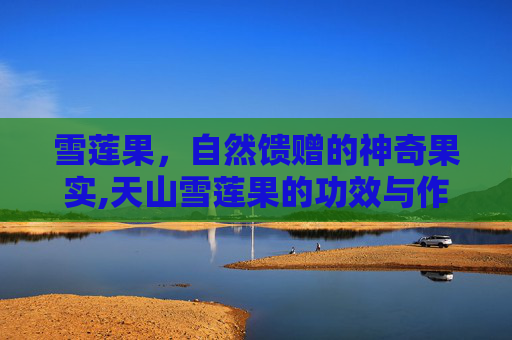 雪莲果，自然馈赠的神奇果实,天山雪莲果的功效与作用及食用方法