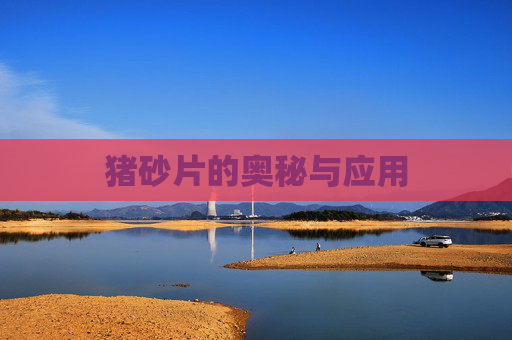 猪砂片的奥秘与应用