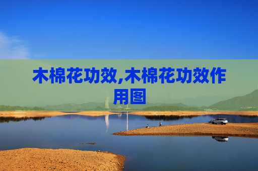 木棉花功效,木棉花功效作用图
