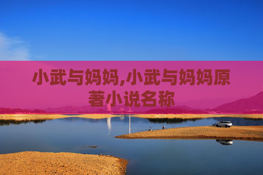 小武与妈妈,小武与妈妈原著小说名称