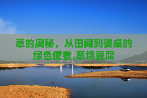 葱的奥秘，从田间到餐桌的绿色使者,葱烧豆腐