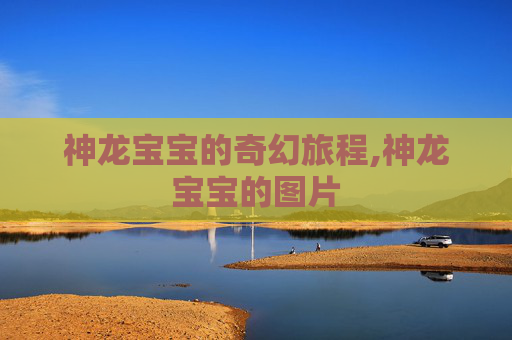 神龙宝宝的奇幻旅程,神龙宝宝的图片
