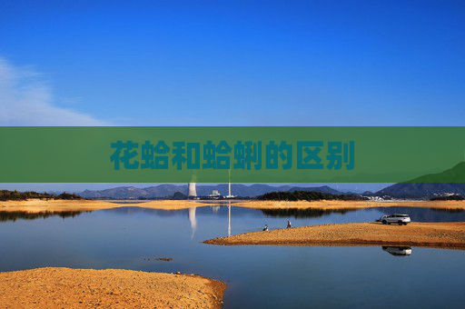 花蛤和蛤蜊的区别