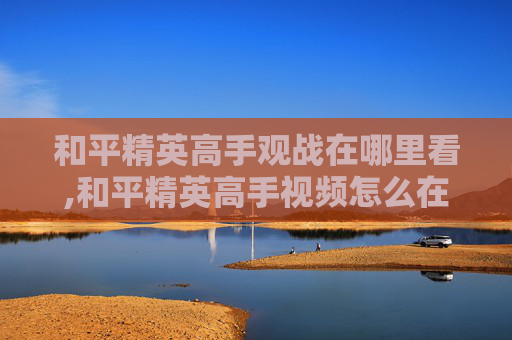 和平精英高手观战在哪里看,和平精英高手视频怎么在游戏里看