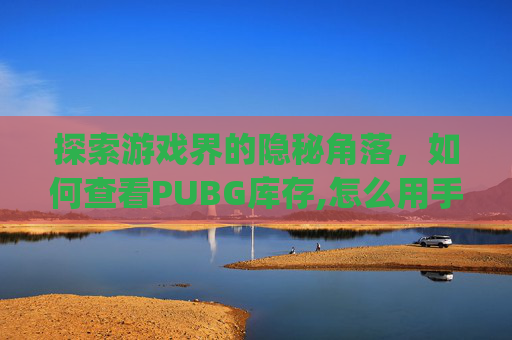 探索游戏界的隐秘角落，如何查看PUBG库存,怎么用手机看pubg库存