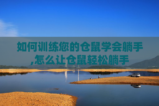 如何训练您的仓鼠学会躺手,怎么让仓鼠轻松躺手
