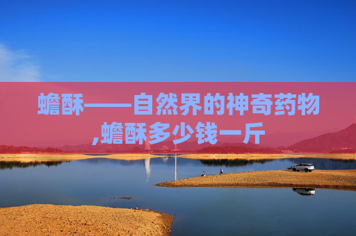 蟾酥——自然界的神奇药物,蟾酥多少钱一斤