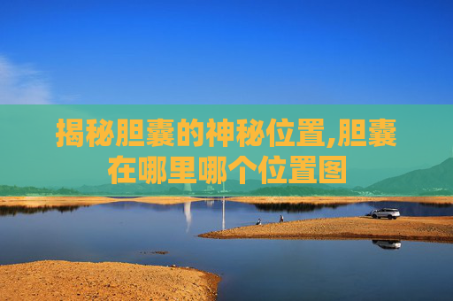 揭秘胆囊的神秘位置,胆囊在哪里哪个位置图