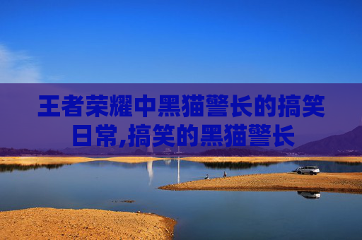 王者荣耀中黑猫警长的搞笑日常,搞笑的黑猫警长