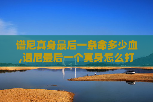 谱尼真身最后一条命多少血,谱尼最后一个真身怎么打