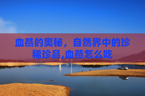 血燕的奥秘，自然界中的珍稀珍品,血燕怎么吃