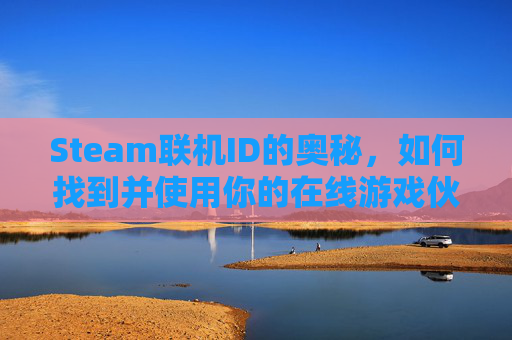 Steam联机ID的奥秘，如何找到并使用你的在线游戏伙伴,STEAM联机恐怖游戏免费